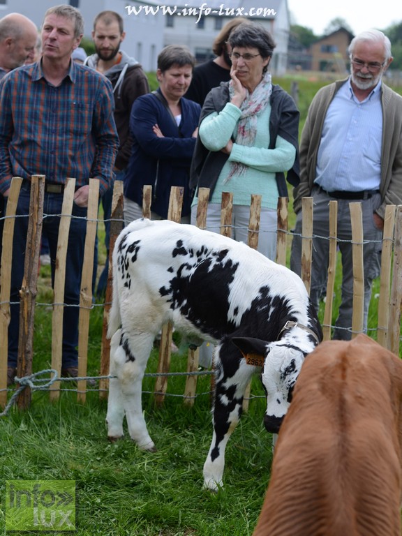 Photos Weekend de la viande à Petitvoir (Neufchâteau)