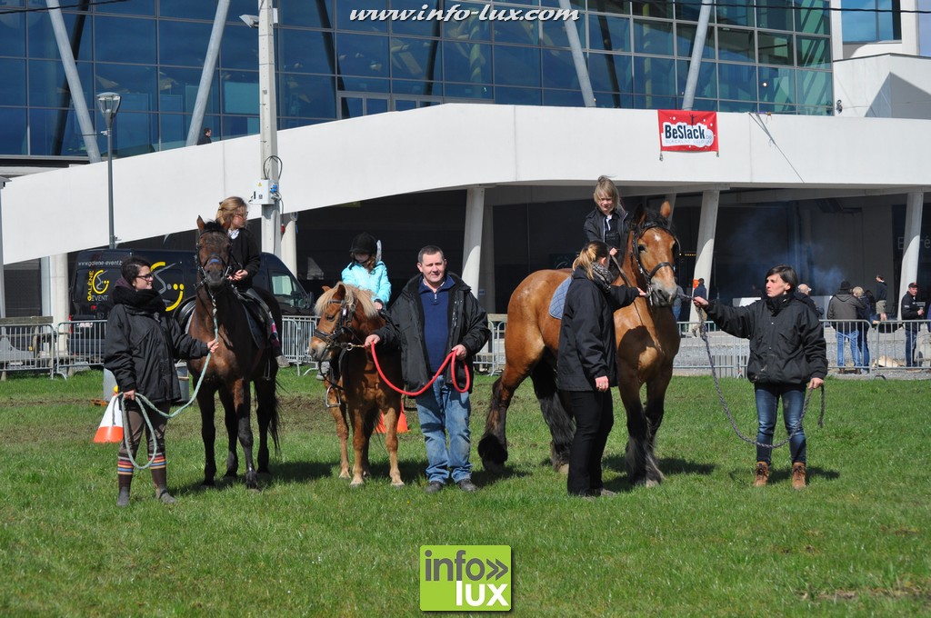 Outdoor Show à Libramont 2016 - photos Reportage