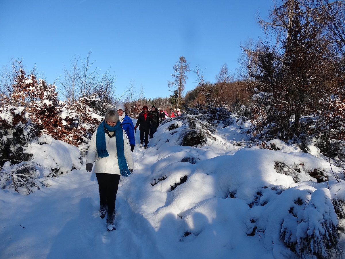 Marches en groupe à Attert