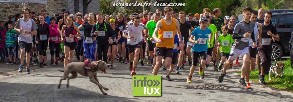 Jogging du plateau des Tailles à Houffalize