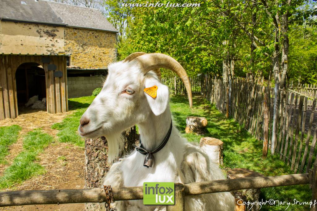 la Ferme du grand enclos à Grandvoir