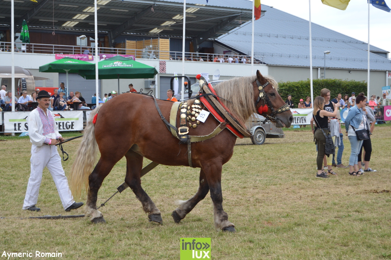 Foire de Libramont 2017 – Photos Reportage