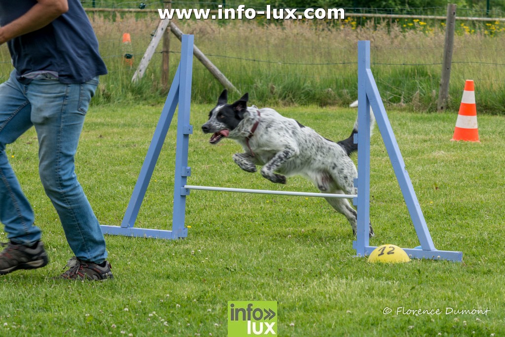 Cours agility Chiny