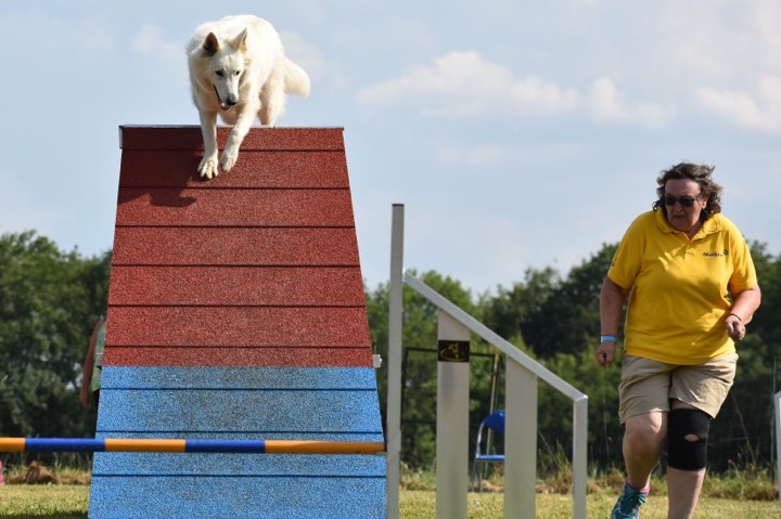 Concours canin à Monceau en Ardenne