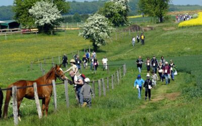 Balade dans régions de la Forêt d’Anlier et au Luxembourg.