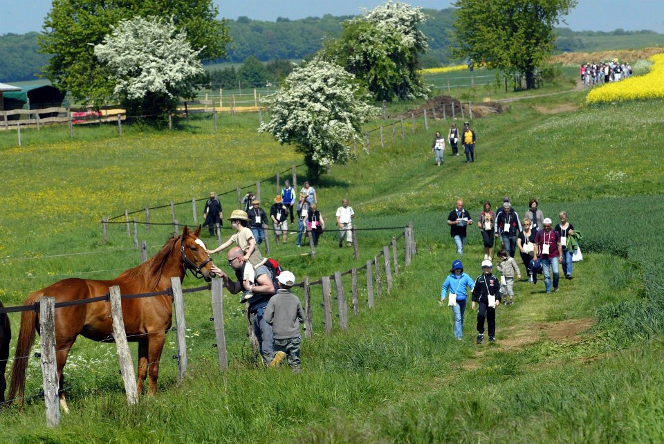 Balade découverte à Tontelange