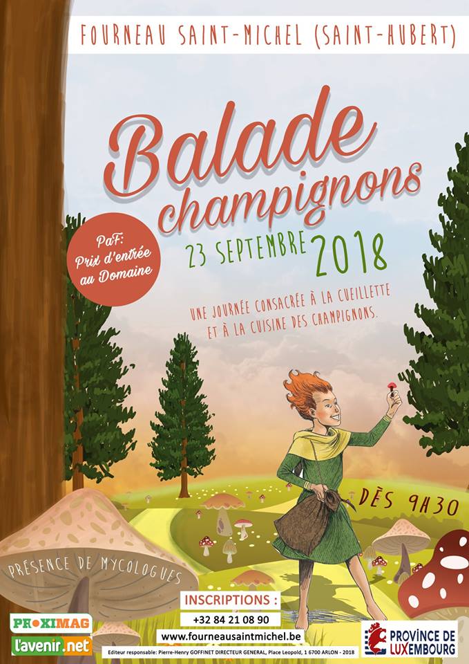 Balades champignons au Fourneau Saint Michel à Saint-Hubert