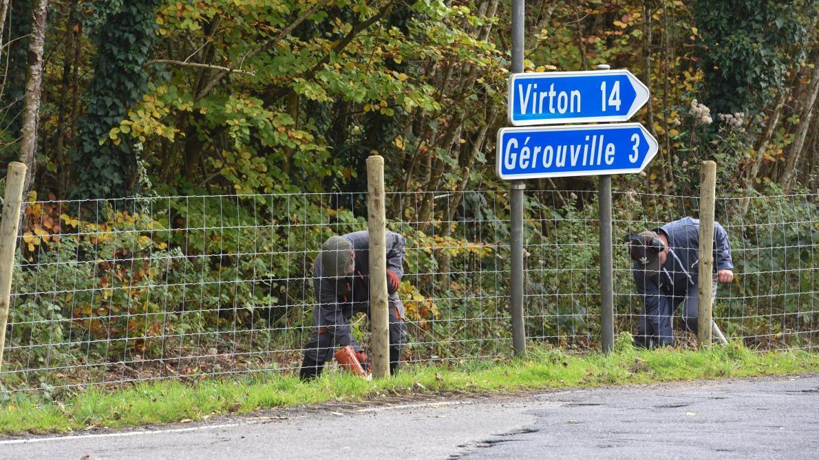 Meix-devant-Virton – Travaux sur la N88