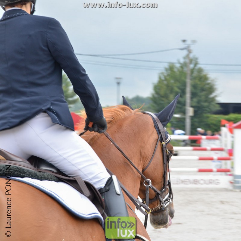 Foire de Libramont 2019 : Jumping