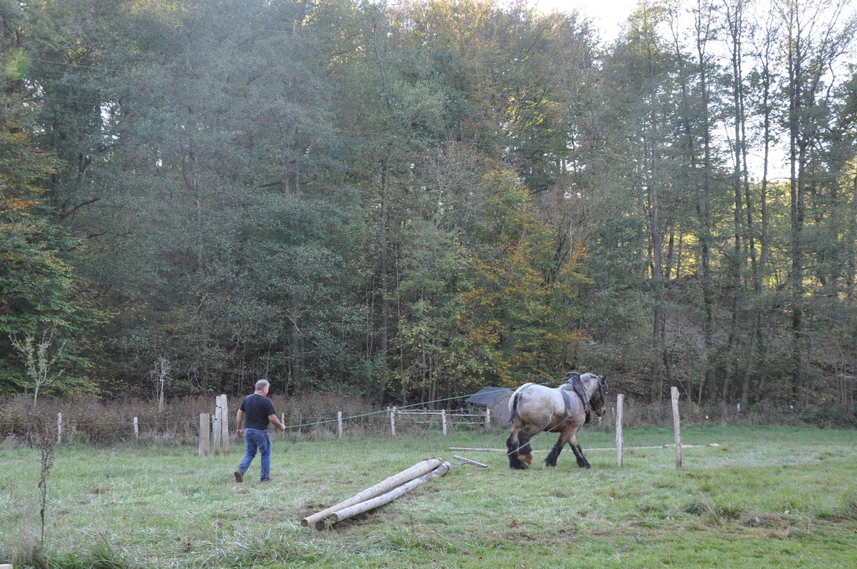 Domaine Fourneau Saint-Michel - Saint Hubert