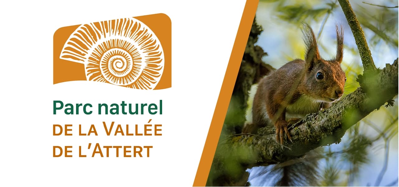 Parc naturel de la Vallée de l’Attert