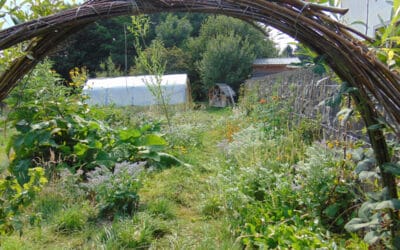 Formation  en permaculture