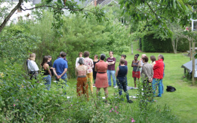 CCP AUTOMNE : COURS CERTIFIE DE CONCEPTION EN PERMACULTURE