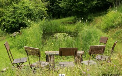 Bouillon : Photos du jardin D’Annick