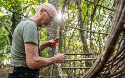 Grottes de Han > La Forêt Secrète