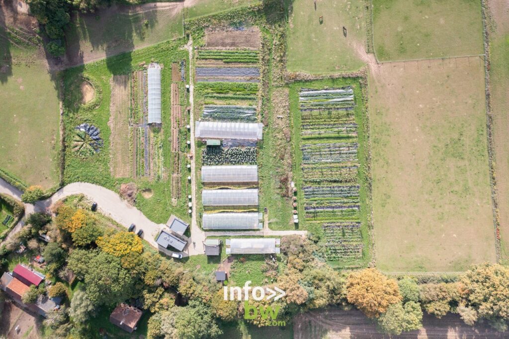 A Waterloo, Juliette et Tom mènent un projet agrobiologique au lieu-dit de la Papelotte.  Ils vous proposent leurs fruits et légumes bio.