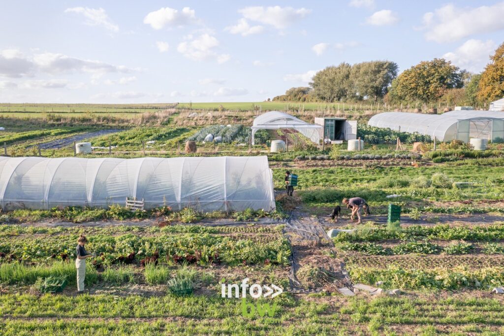 A Waterloo, Juliette et Tom mènent un projet agrobiologique au lieu-dit de la Papelotte.  Ils vous proposent leurs fruits et légumes bio.