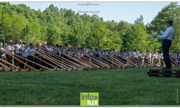 Gaume>  plus de 150 Cors Alpins > Reportage photos