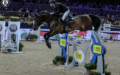 Malines > jumping > Photos