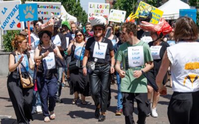 LA LOUVIERE > JOURNEE MONDIAL DU LOUVIEROIS