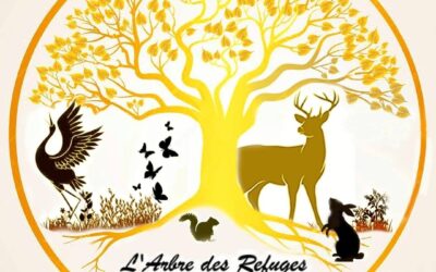 Braine-l’Alleud > L’Arbre des Refuges